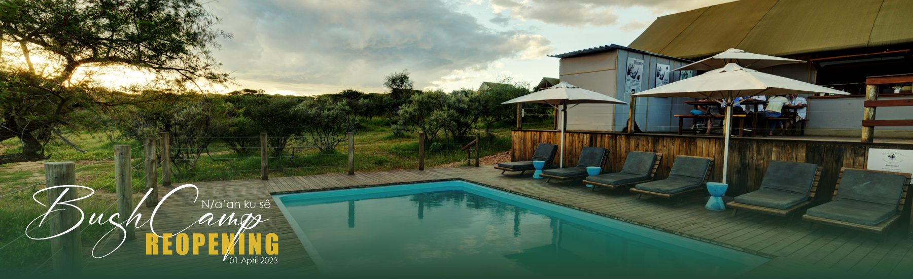 Naankuse Bush Camp Pool